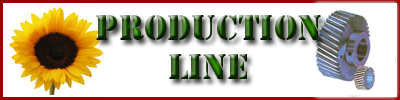 Sunflower Kernels Production Line